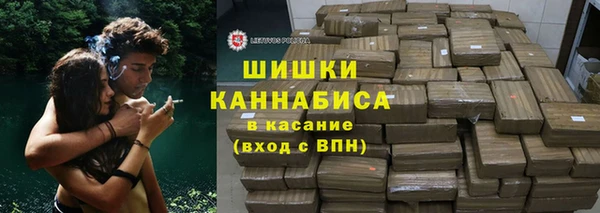 стаф Вязьма
