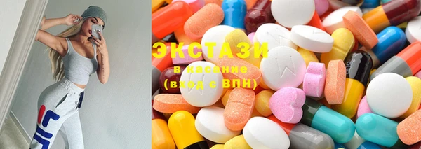 стаф Вязьма