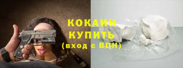 стаф Вязьма